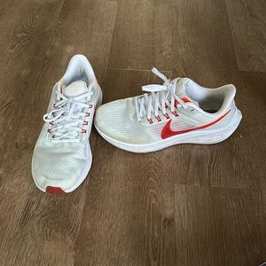 Nike Pegasus 39